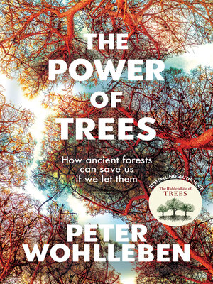 cover image of The Power of Trees